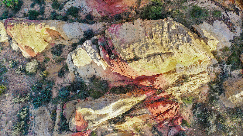 玫瑰色条纹在惠特尼坦克编队，金Butte NM，内华达州